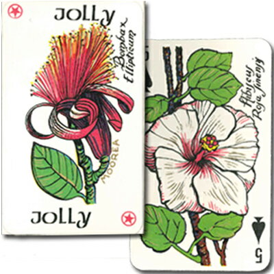 【数量限定!貴重なトランプ】トランプ ポリネシアの動物・植物