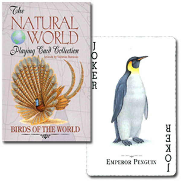 THE NATURAL WORLDBIRD OF THE WORLD【鳥好きな方へのちょっとしたプレゼントに♪】トランプ　ナチュラル・ワールド 世界の鳥世界各国の珍しい鳥たちが活き活きと描かれたトランプ。カード下部には、鳥たちの英名も書かれています。54枚のカードは全て別柄。鳥好きな方へのちょっとしたプレゼントにもおすすめです♪国：アメリカメーカー：U.S. GAMES SYSTEMS, INC./U.S.A.カードサイズ：ブリッジ素材：トランプ紙　