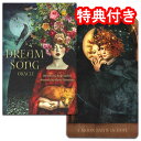 オラクルカード 45枚 占い【ドリーム・ソング・オラクル Dream Song Oracle】”夢の旋律が導く神秘のオラクルカード”