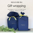 ★マラソン最終日限定MAX1000円OFF! 【ギフトラッピング 】梨地 ギフトバッグ 靴 プレゼント 誕生日 クリスマス お祝い ラッピング ギフトラッピング...