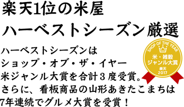 【期間限定 ポイント3倍】のし餅 2kg 【送料無料】無添加 国産100％国内産 もち米使用 切れ目アリ 予約販売 杵つきもち のしもち 餅 お餅 送料込 お正月 [北海道沖縄へのお届けは別途送料760円] 【コンビニ受取 コンビニ決済 後払い 可】