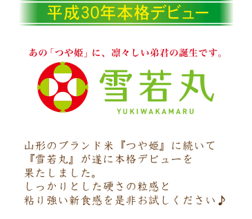 【キャッシュレス5％還元】無洗米 特別栽培米 山形県産つや姫 5kgと無洗米 山形県 雪若丸 5kg 計10kg 【組み合わせセット】【令和元年産】【送料無料】 [北海道沖縄へのお届けは別途送料760円] 【コンビニ受取 コンビニ決済 後払い 可】