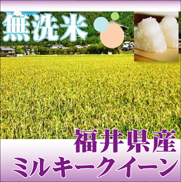 無洗米 福井県産 ミルキークイーン 5kg 令和元年産 1年産【送料無料】★ Shop Of The Year 米大賞 ★ [北海道沖縄へのお届けは別途送料760円] 【コンビニ受取 コンビニ決済 後払い 可】