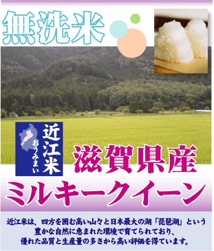 【150円クーポン キャッシュレス5％還元】無洗米 滋賀県産 ミルキークイーン 10kg 5kg×2袋 令和元年産 1年産【送料無料】Shop Of The Year 米大賞 [北海道沖縄へのお届けは別途送料760円] 【コンビニ受取 コンビニ決済 後払い 可】mk