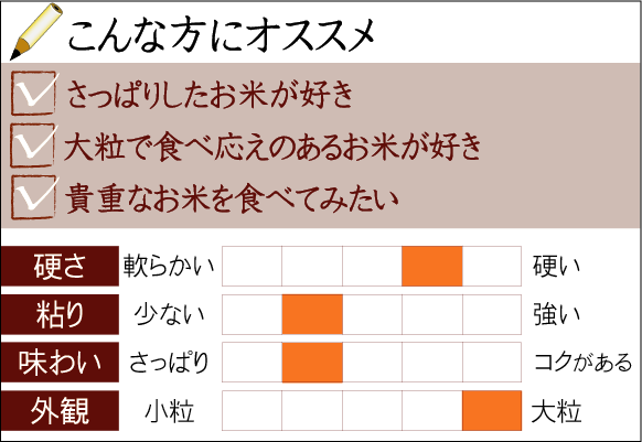 収穫量の少なさから『幻の米』とも言われる銘柄「ハツシモ」。粘りが強すぎず歯応えがあり、大粒でハリがあるのが特徴で、さっぱりとした食感【ハーベストシーズン】　【精米時期訳アリ 8月中旬】無洗米 岐阜県産 はつしも 10kg 5kg×2袋 令和6年産 [送料無料] [北海道沖縄は別途送料760円]お米マイスター厳選 精米HACCP認定 ショップ オブ ザ イヤー米大賞【コンビニ受取 ・決済 後払い 可】