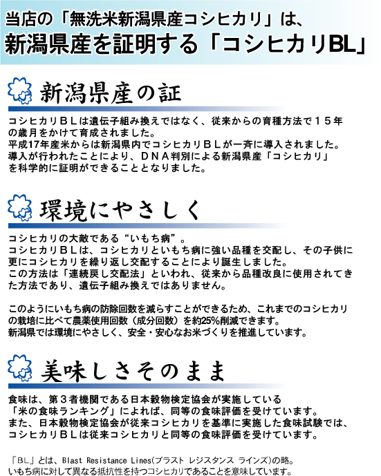 無洗米 新潟県産 コシヒカリ 10kg 5kg×2袋 令和2年産 [送料無料]【あす楽_土曜営業】 Shop Of The Year 米大賞 [北海道沖縄へのお届けは別途送料760円]【コンビニ受取 コンビニ決済 後払い 可】