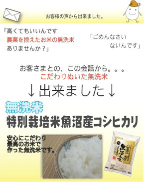 【200円クーポン&キャッシュレス5％還元】無洗米 特別栽培米 新潟県魚沼産コシヒカリ 10kg 5kg×2袋 令和元年産 1年産 【送料無料】【食味ランク特A】 Shop Of The Year 米大賞 [北海道沖縄へのお届けは別途送料760円]