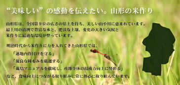 無洗米ランク1位！600週記念P5倍♪(9/26 AM9:59迄)無洗米 29年産 山形県産あきたこまち 10kg (5kg×2袋) お米【あす楽_土曜営業】 送料無料 米ジャンル大賞 年間ランク1位レビュー6万件★週間ランク1位601週北海道沖縄送料別途830円