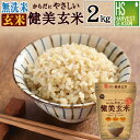 【3％OFFクーポン発行中】無洗米 からだにやさしい健美玄米 2kg 令和元年産[食味ランク特A 一等米 岩手ひとめぼれ使用]やさしい玄米[北海道沖縄へは送料1520円]【コンビニ受取 コンビニ決済 後払い 可】