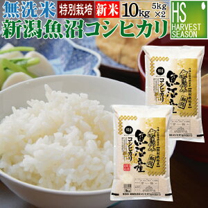 【新米】無洗米 特別栽培米 新潟県魚沼産コシヒカリ 10kg 5kg×2袋 令和3年産【送料無料】【食味ランク特A】 Shop Of The Year 米大賞 [北海道沖縄へのお届けは別途送料760円]MU