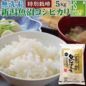 無洗米 特別栽培米 新潟県魚沼産コシヒカリ 5kg 令和4年産[あす楽_土曜営業] [送料無料] 【食味ランク特A】 [北海道沖縄へのお届けは別途送料760円]【コンビニ受取 コンビニ決済 後払い】MU