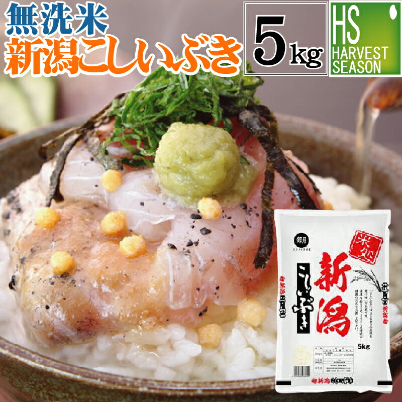 【P5倍＆数量限定特価】新米 無洗米 新潟県産こしいぶき5kg 令和元年産 1年産【...