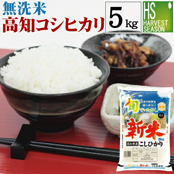 新米 無洗米 高知県産コシヒカリ5kg 令和元年産 1年産【送料無料】Shop Of The Year 米ジャンル大賞[北海道沖縄へは別途送料760円]【コンビニ受取 コンビニ決済 後払い 可】