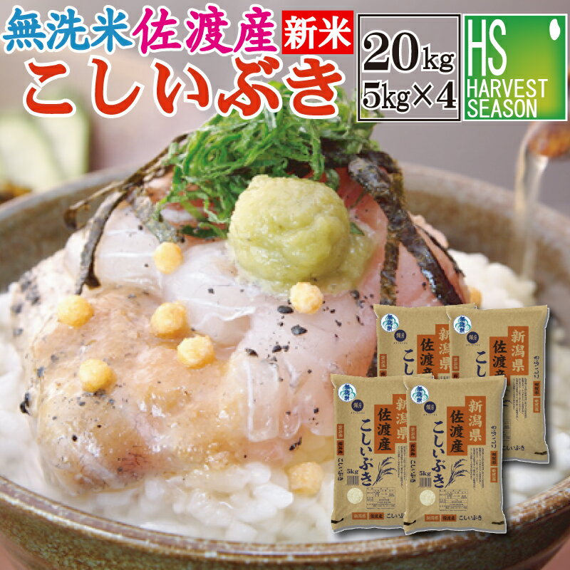 新米 無洗米 新潟県佐渡産こしいぶき20kg(5kg×4袋) 令和7年産【送料無料】Shop Of The Year 米ジャンル大賞[北海道沖縄へは別途送料760円]【コンビニ受取 コンビニ決済 後）払い 可】