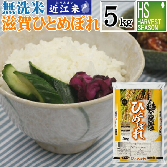 【数量限定特価】無洗米 滋賀県産 ひとめぼれ 5kg 令和元年産 1年産送料無料[北...