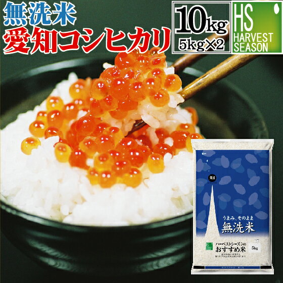 【48時間限定 特価セール】無洗米 愛知県産 コシヒカリ 10kg 5kg×2袋 30年産 送料無料 ★米ジャンル大賞★[北海道沖縄へは別途送料740円] 【コンビニ受取 コンビニ決済 後払い 可】