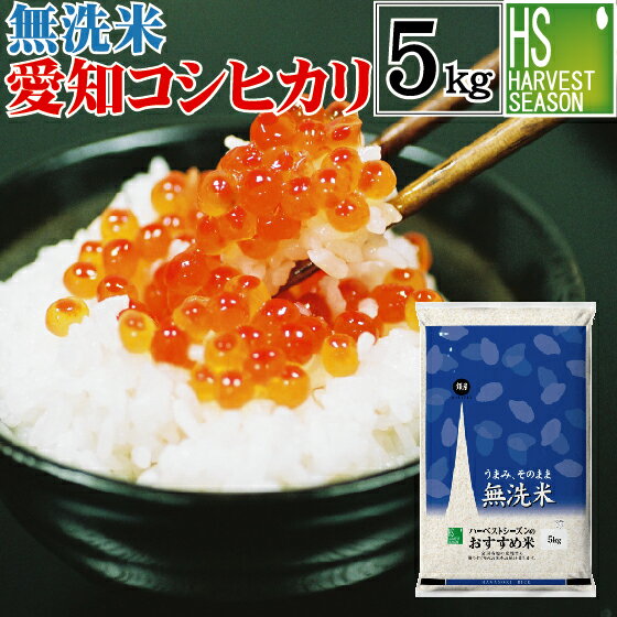 【数量限定セール】無洗米 愛知県産 コシヒカリ 5kg 30年産 送料無料 [あす楽...