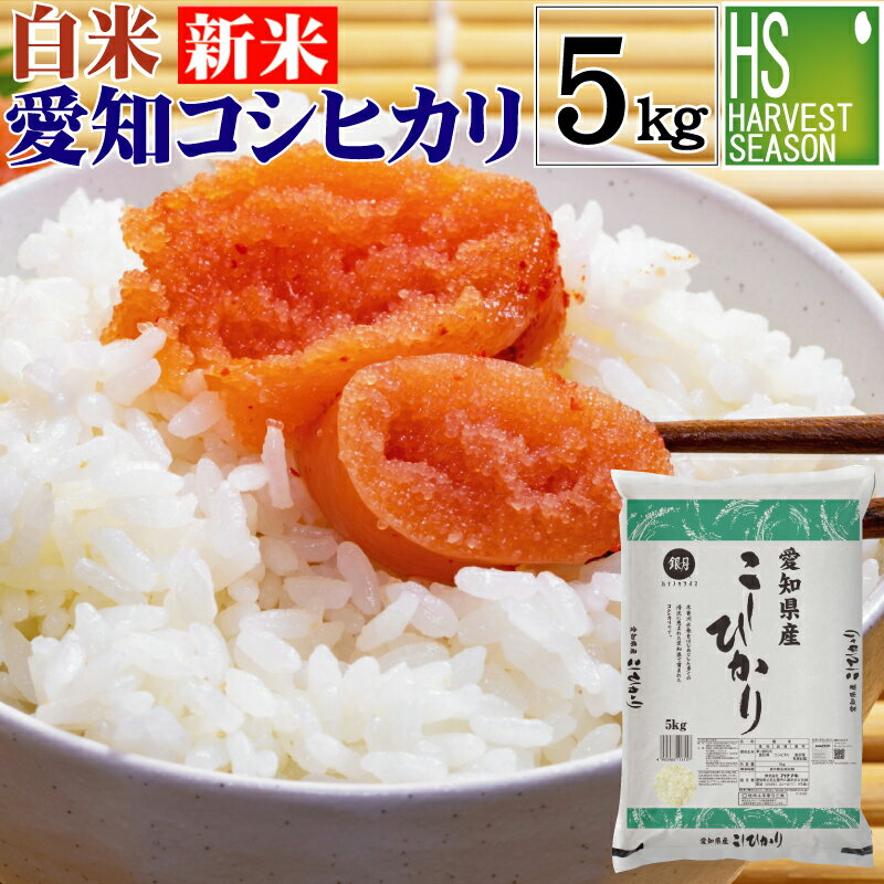 【新米】【期間限定P5倍】令和3年産 白米 愛知県産 コシヒカリ 5kg 送料無料★ Shop Of The Year 米大賞 ★ [北海道沖縄へのお届けは別途送料760円] 【コンビニ受取 コンビニ決済 後払い 可】