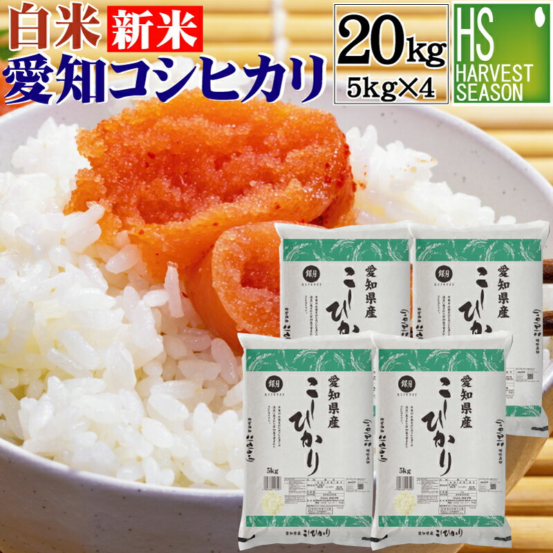 新米 令和4年産 数量限定 白米 愛知県産 コシヒカリ 20kg 5kg×4袋 送料...