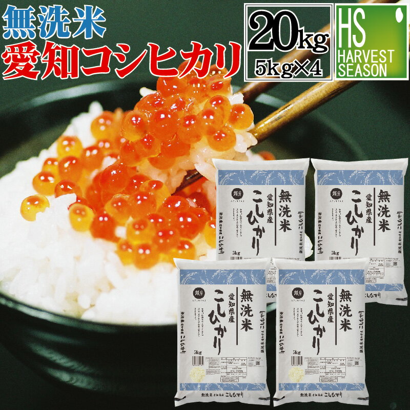 令和3年産 無洗米 愛知県産 コシヒカリ 20kg 5kg×4袋 送料無料[あす楽_土曜営業]★ Shop Of The Year 米大賞 ★ [北海道沖縄へのお届けは別途送料760円] [コンビニ受取 コンビニ決済 後払い 可]