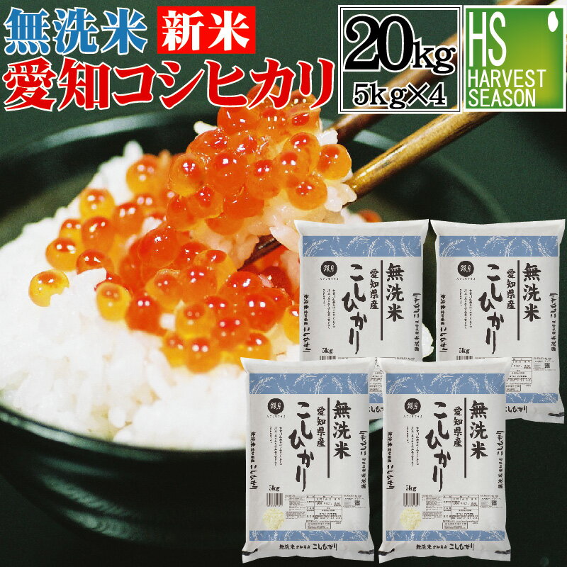 [精米時期訳アリ][アウトレットセール] 新米 令和4年産 無洗米 愛知県産 コシヒカリ 20kg 5kg×4袋 送料無料【あす楽_土曜営業】★ Shop Of The Year 米大賞 ★ [北海道沖縄へのお届けは別途送料760円][コンビニ受取 コンビニ決済 後払い 可]