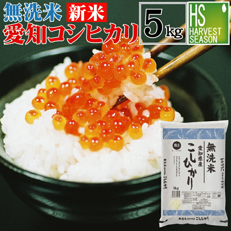 [精米時期訳アリ][アウトレットセール] 新米 令和4年産 無洗米 愛知県産 コシヒカリ 5kg 送料無料★ Shop Of The Year 米大賞 ★ 【あす楽_土曜営業】 [北海道沖縄へのお届けは別途送料760円] [コンビニ受取 コンビニ決済 後払い 可]