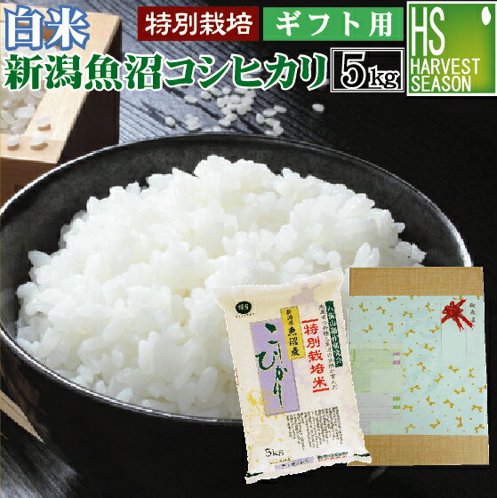 白米 特別栽培米新潟県魚沼産コシヒカリ 5kg 送料無料 令和5年産お中元/ギフト/内祝/お祝/お礼/父の日/御歳暮/御中元/エコ包装(簡易包装)[北海道沖縄送料760円]