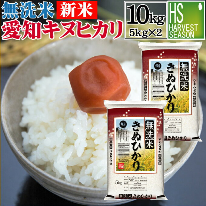 【数量限定特価】新米 令和3年産無洗米 愛知県産 キヌヒカリ 10kg 5kg×2袋 送料無料★ Shop Of The Year 米大賞 ★ [北海道沖縄へのお届けは別途送料760円] 【コンビニ受取 コンビニ決済 後払い 可】