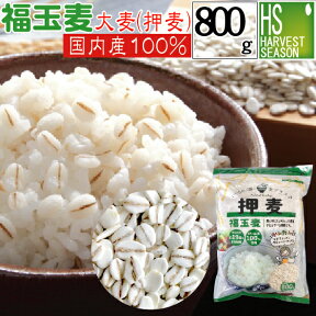 大麦 押麦 国産 福玉麦 800g【ハーベストシーズン】【HLS_DU】【あす楽_土曜営業】【北海道沖縄へのお届けは送料1520円】