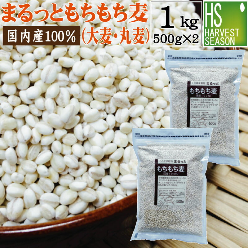 【期間限定P5倍】まるっともちもち麦(大麦/丸麦)計1kg(500g×2袋)【メール便送料無料】[代引＆日時指定不可][3セット以上→宅配便で送料無料・他商品と同梱OK・代引＆日時指定OK][北海道沖縄は別途送料760円]