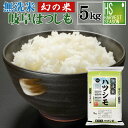 無洗米 令和5年産 岐阜県産はつしも 5kg [送料無料] 【あす楽_土曜営業】[北海道沖縄は別途送料760円]お米マイスター厳選 精米HACCP認定工場 ショップ オブ ザ イヤー米大賞【コンビニ受取 コンビニ決済 後払い 可】