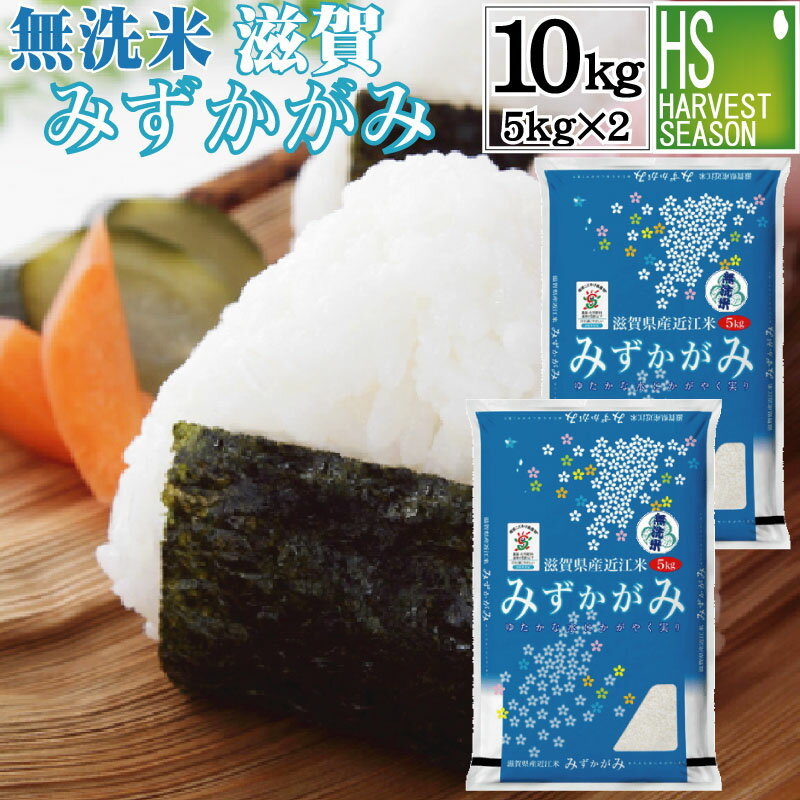 特別栽培米 無洗米 滋賀県産みずかがみ 10kg 5kg 2袋 令和5年産 送料無料 【あす楽_土曜営業】[北海道沖縄へは別途送料760円][コンビニ受取 コンビニ決済 後払い 可]