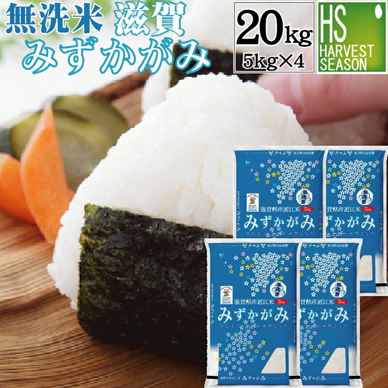 特別栽培米 無洗米 滋賀県産みずかがみ 20kg 5kg×4袋 令和5年産 送料無料 【あす楽_土曜営業】[北海道沖縄へは別途送料760円][コンビニ受取 コンビニ決済 後払い 可]