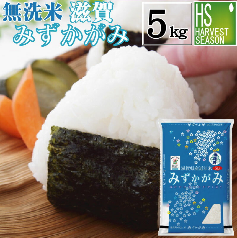 特別栽培米 無洗米 滋賀県産みずかがみ 5kg 令和5年産【