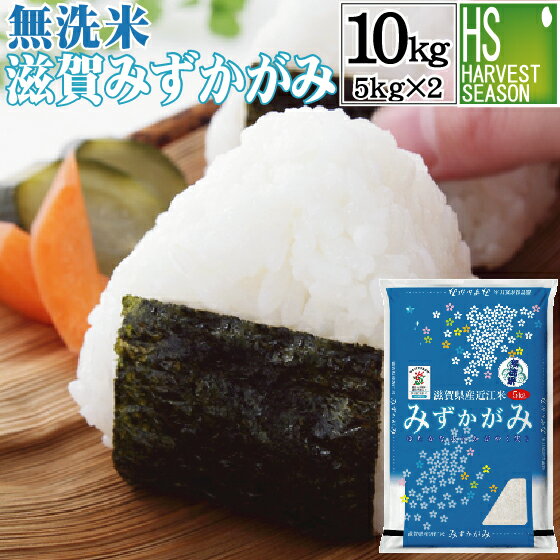 特別栽培米新米 無洗米 滋賀県産みずかがみ 10kg 5kg×2袋 令和元年産 1年産 送料無料(環境こだわり栽培)“近江米”[北海道沖縄へは別途送料760円][コンビニ受取 コンビニ決済 後払い 可]