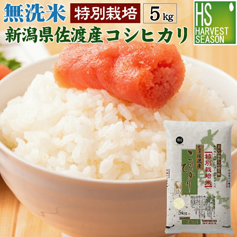 【数量限定】無洗米 特別栽培米 新潟県佐渡産 コシヒカリ 5kg 令和2年産【送料無料】【あす楽_土曜営業】 Shop Of The Year 米大賞 [北海道沖縄へのお届けは別途送料760円] 【コンビニ受取 コンビニ決済 後払い 可】