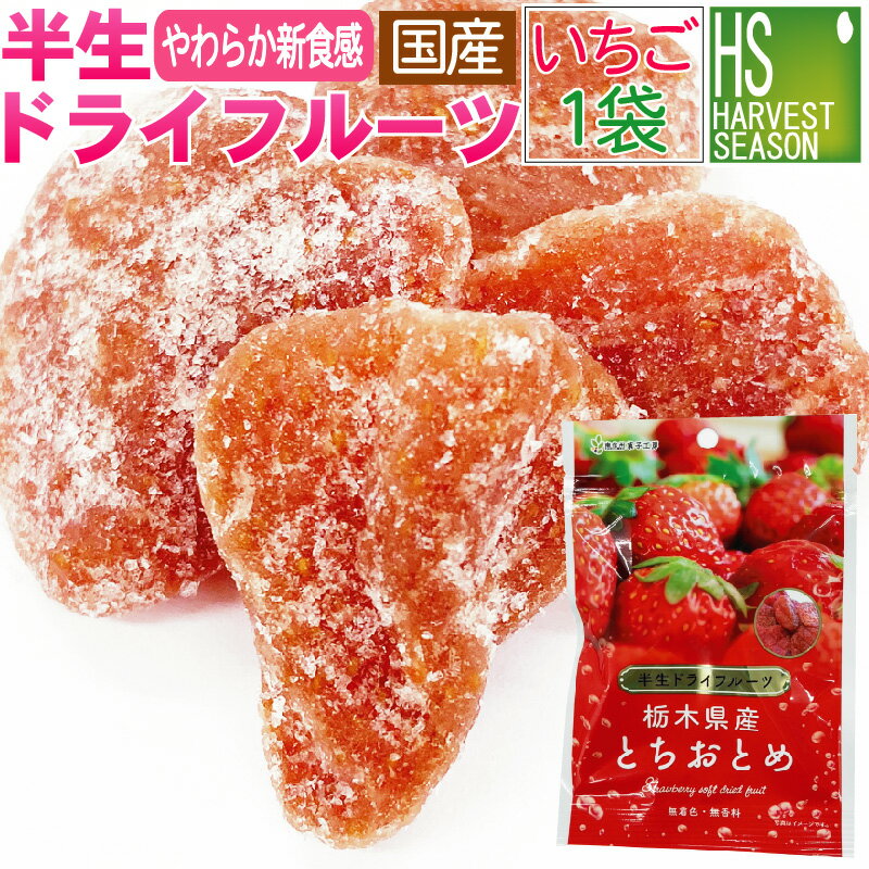新商品 国産 半生 ドライフルーツ いちご 栃木県産 とちおとめ 1袋20g