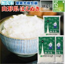 令和5年産 無洗米 山形県産はえぬき300g(2合)×3袋お試し特価1000円 