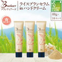 [まとめ買い3本セット]Brantears ライスブラン セラムイン ハンドクリーム 40g×3本セット(ケース/紙袋無し) 母の日 [メール便送料無料]..