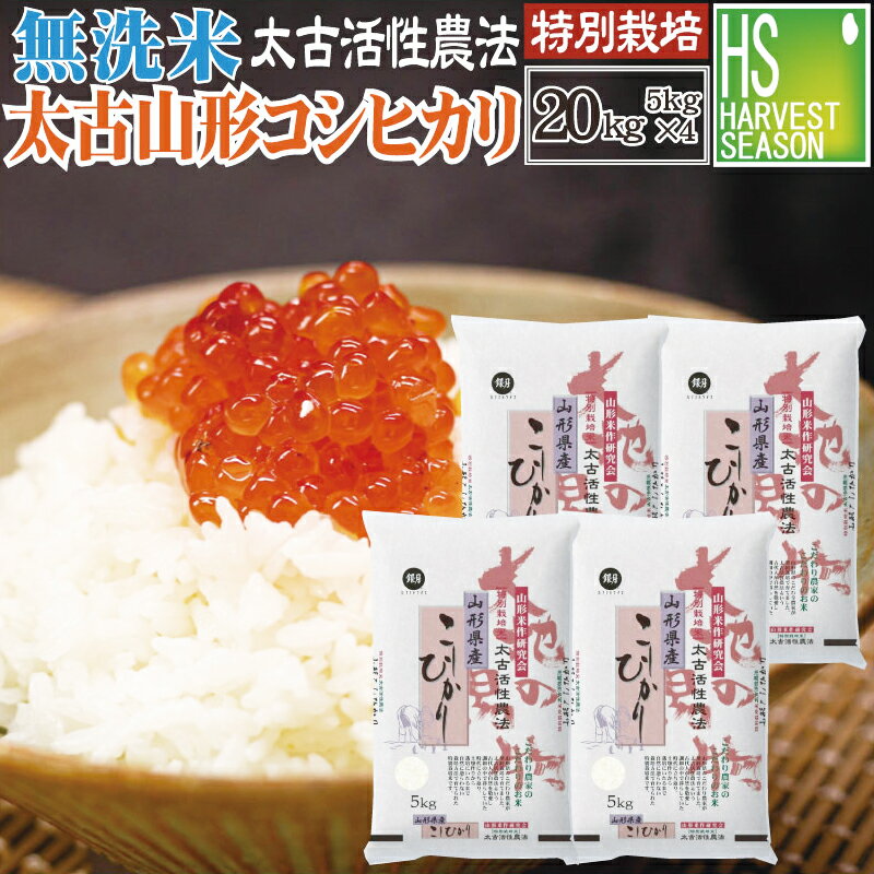 [P3倍][太古活性農法]無洗米 令和4年産 山形県産コシヒカリ20kg 5kg×4...