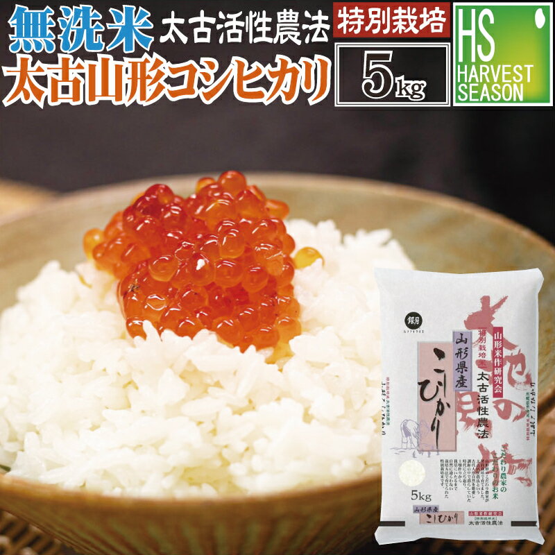 [売り尽くしセール][太古活性農法]無洗米 令和4年産 山形県産コシヒカリ5kg [特別栽培米][あす楽_土曜営業][送料無料] お米マイスター厳選 精米HACCP認定工場 [北海道沖縄への配送 別途送料760円]コンビニ受取 コンビニ決済 後払い