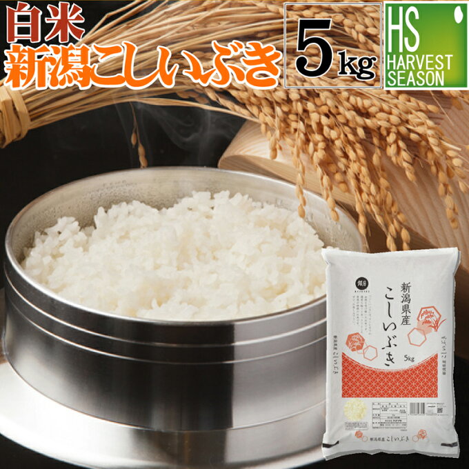 白米 新潟県産こしいぶき5kg 令和元年産 1年産【送料無料】Shop Of The Year 米ジャンル大賞[北海道沖縄へは別途送料760円]【コンビニ受取 コンビニ決済 後払い 可】