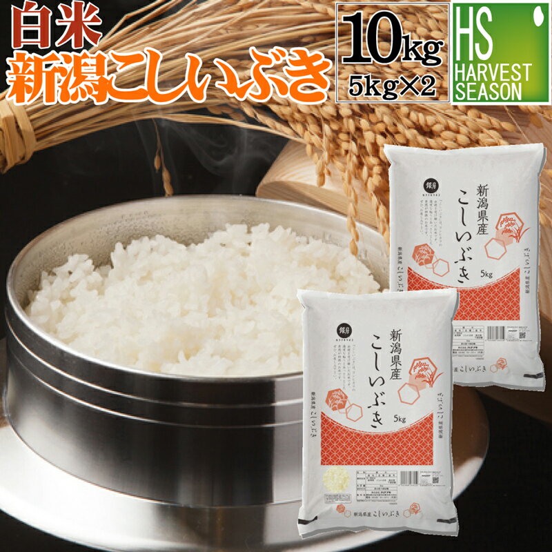 白米 新潟県産こしいぶき10kg（5kg×2袋）令和元年産 1年産【送料無料】Sho...