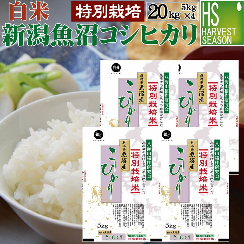 白米 特別栽培米新潟県 魚沼産コシヒカリ20kg（5kg×4袋） 令和5年産 【送料無料】[北海道沖縄へのお届けは別途送料760円]【コンビニ受取対応商品】精白米 【smtb-TK】【HLS_DU】 1