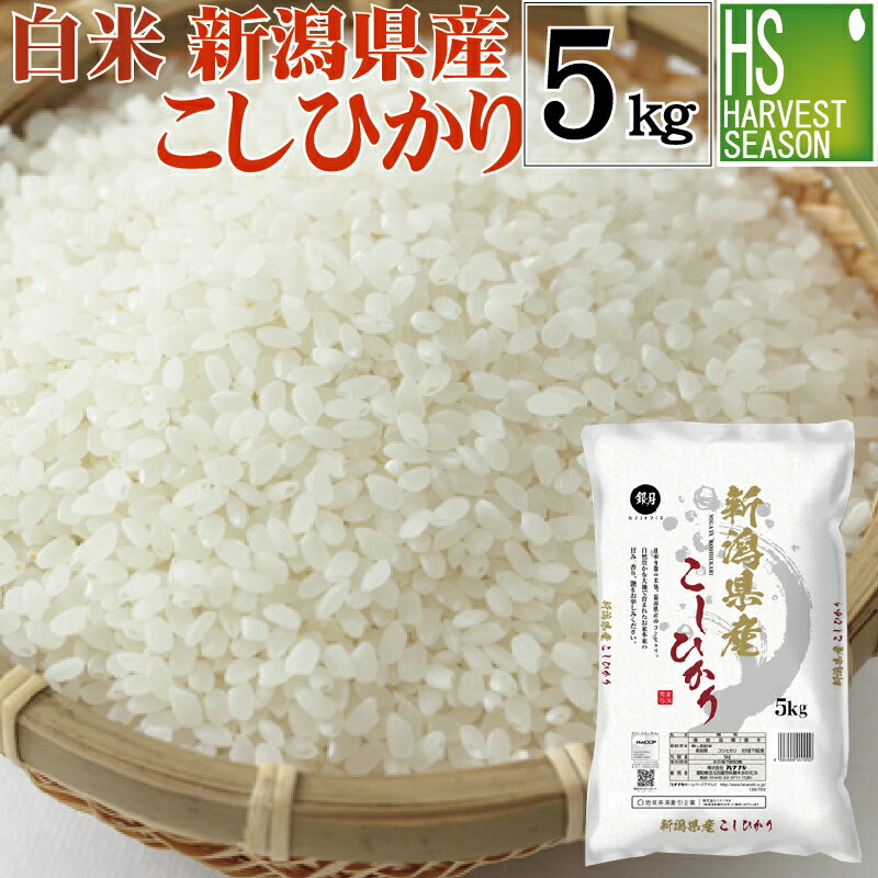 令和5年産 白米 精白米