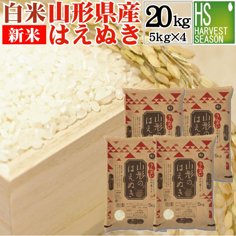 新米 白米 山形県産はえぬき 20kg 5kg×4袋 令和4年産【送料無料】 精白米...