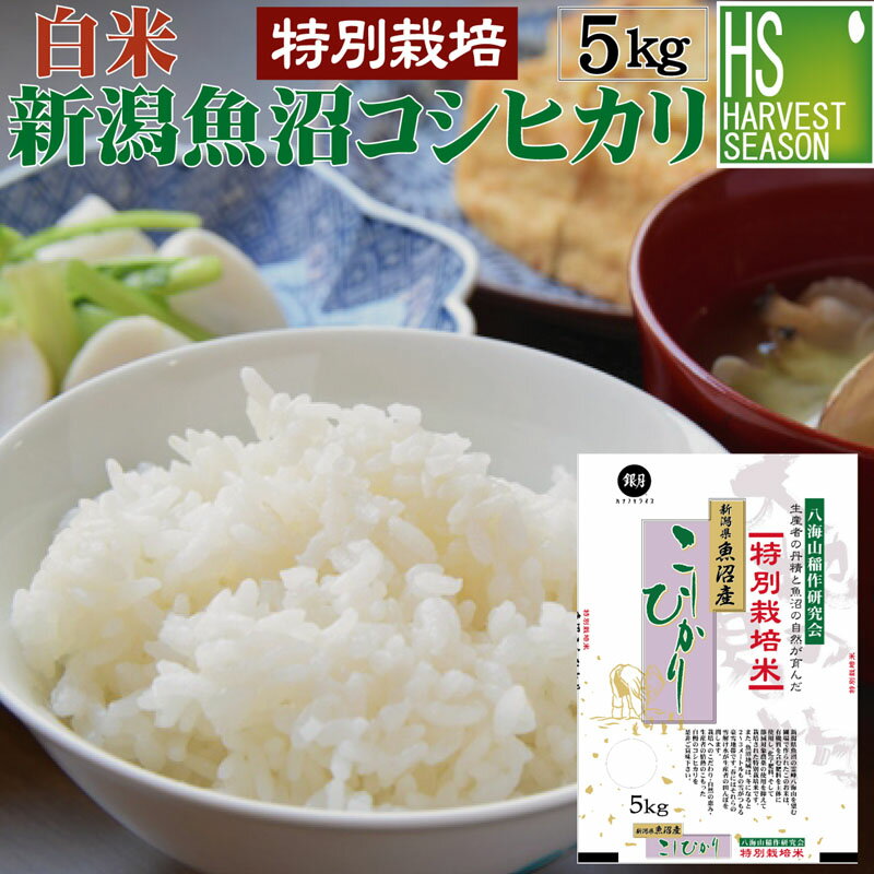 白米 特別栽培米新潟県 魚沼産コシヒカリ5kg【送料無料】令