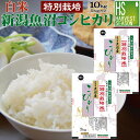 白米 特別栽培米新潟県 魚沼産コシヒカリ10kg（5kg×2袋） 令和5年産 【送料無料】[北海道沖縄へのお届けは別途送料760円]【コンビニ受..