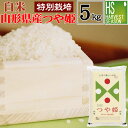 白米 特別栽培米山形県産つや姫 5kg【送料無料】令和5年産【こちらは白米です。無洗米ではありません】★Shop Of The …