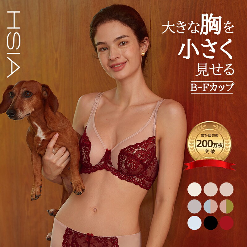 胸を小さく見せるブラ ブラジャー 小さく見せる 着痩せブラ ブラジャー 大きいサイズ ワイヤー入り フィット フルカップ ブラジャー セクシー 薄い 軽量 レース 補正 脇肉 痛くない 可愛い 涼しい 通気 寄せ上げ 大きな胸 レディース 夏用